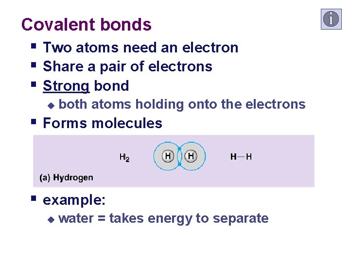 Covalent bonds § Two atoms need an electron § Share a pair of electrons