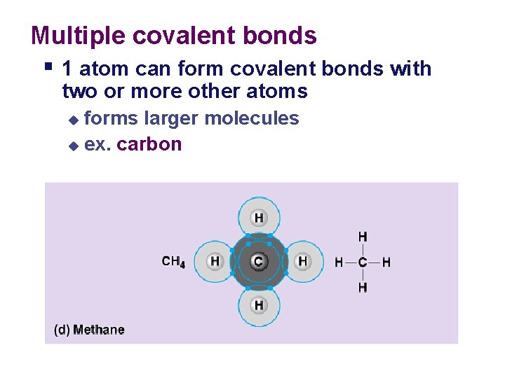 Multiple covalent bonds § 1 atom can form covalent bonds with two or more