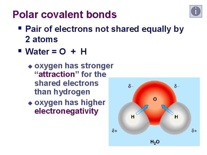 Polar covalent bonds § Pair of electrons not shared equally by § 2 atoms