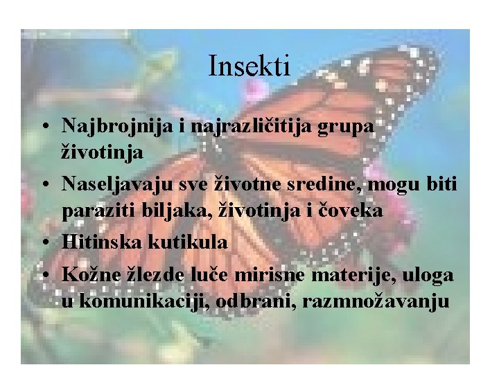 Insekti • Najbrojnija i najrazličitija grupa životinja • Naseljavaju sve životne sredine, mogu biti