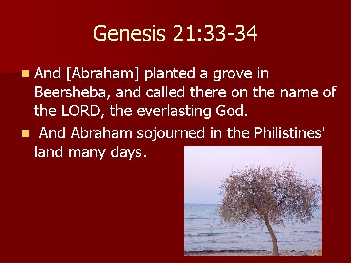 Genesis 21: 33 -34 n And [Abraham] planted a grove in Beersheba, and called