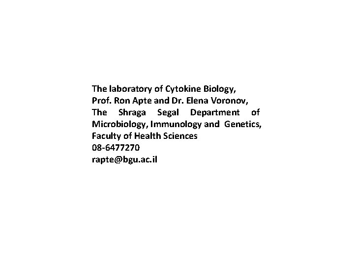 The laboratory of Cytokine Biology, Prof. Ron Apte and Dr. Elena Voronov, The Shraga