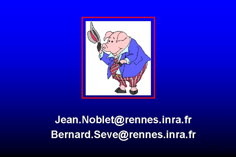 Jean. Noblet@rennes. inra. fr Bernard. Seve@rennes. inra. fr 29 