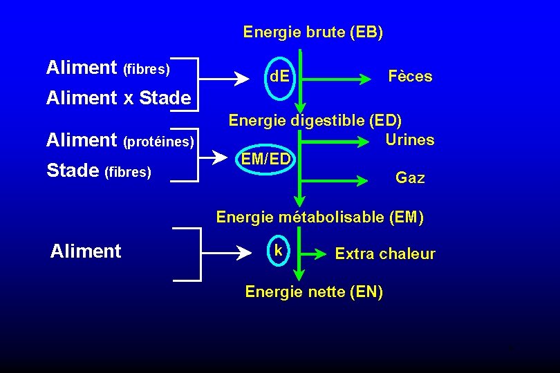 Energie brute (EB) Aliment (fibres) Fèces d. E Aliment x Stade Aliment (protéines) Stade