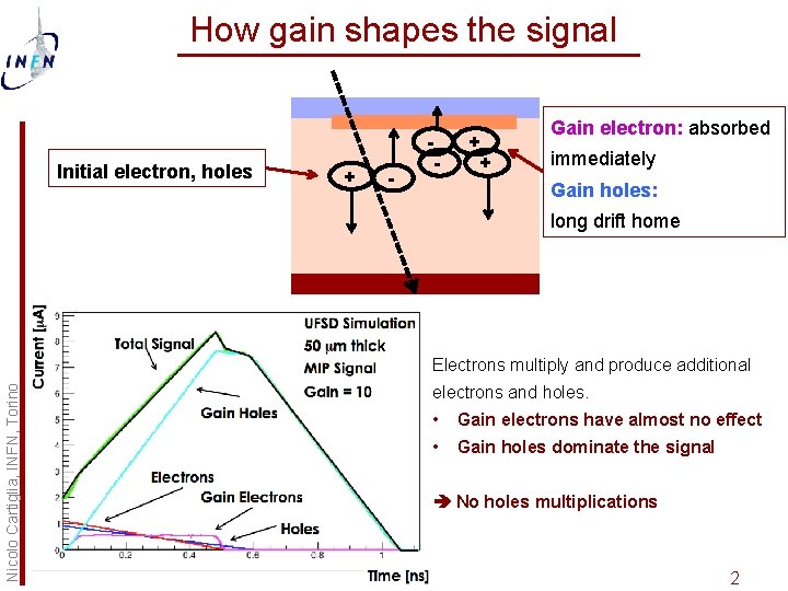 How gain shapes the signal Initial electron, holes + - - + Gain electron: