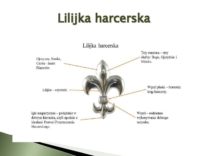 Lilijka harcerska 