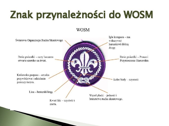 Znak przynależności do WOSM 