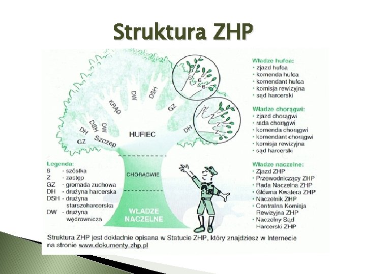 Struktura ZHP 