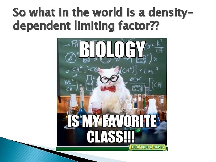 So what in the world is a densitydependent limiting factor? ? 