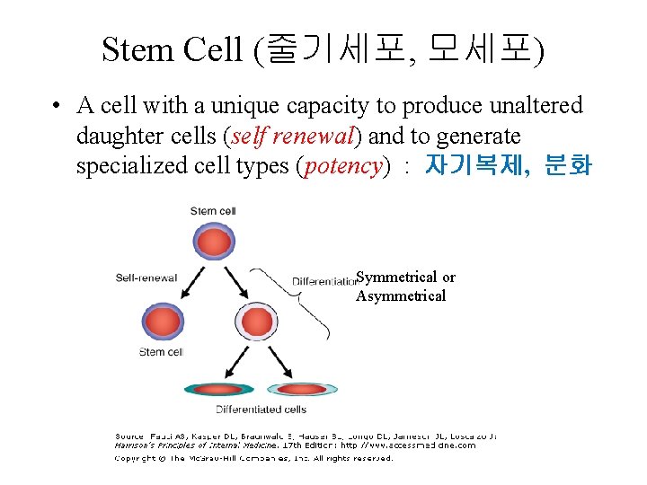 Stem Cell (줄기세포, 모세포) • A cell with a unique capacity to produce unaltered Stem Cell (줄기세포, 모세포) • A cell with a unique capacity to produce unaltered