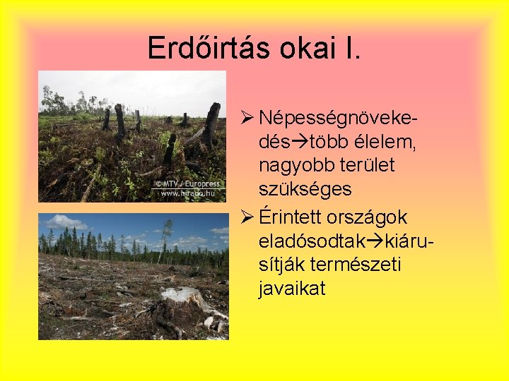 Erdőirtás okai I. Ø Népességnövekedés több élelem, nagyobb terület szükséges Ø Érintett országok eladósodtak