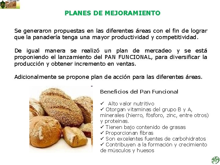 PLANES DE MEJORAMIENTO Se generaron propuestas en las diferentes áreas con el fin de