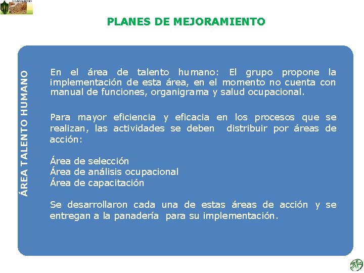 ÁREA TALENTO HUMANO PLANES DE MEJORAMIENTO En el área de talento humano: El grupo