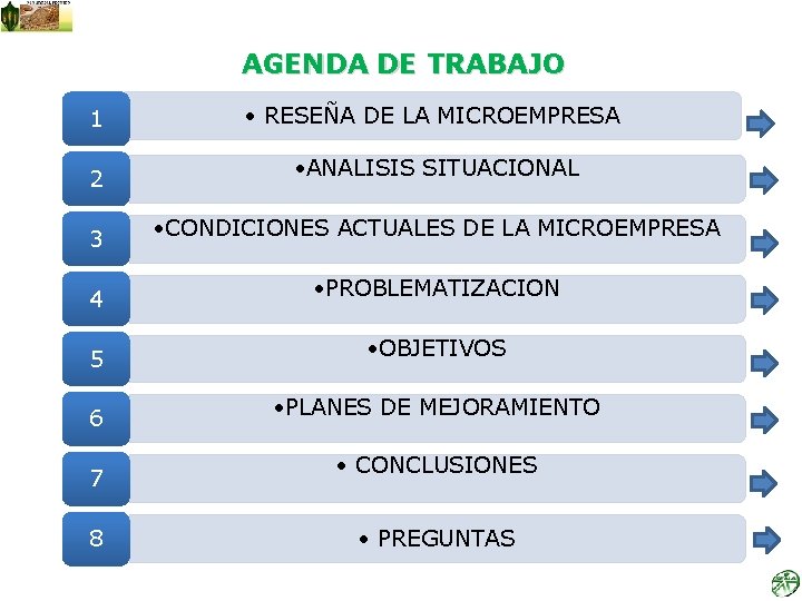 AGENDA DE TRABAJO 1 • RESEÑA DE LA MICROEMPRESA 2 • ANALISIS SITUACIONAL 3