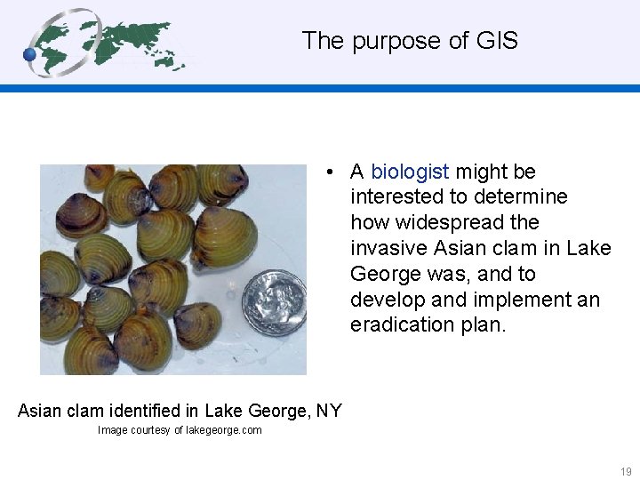  The purpose of GIS • A biologist might be interested to determine how