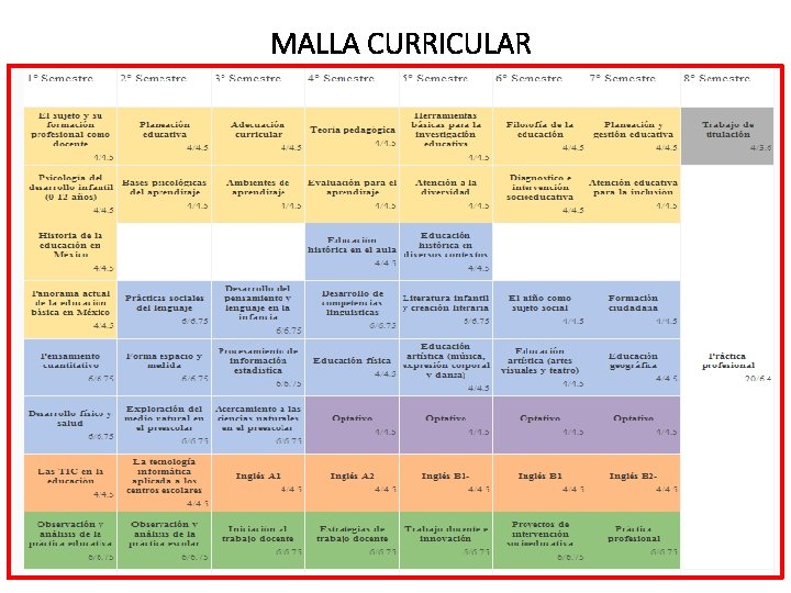 MALLA CURRICULAR 