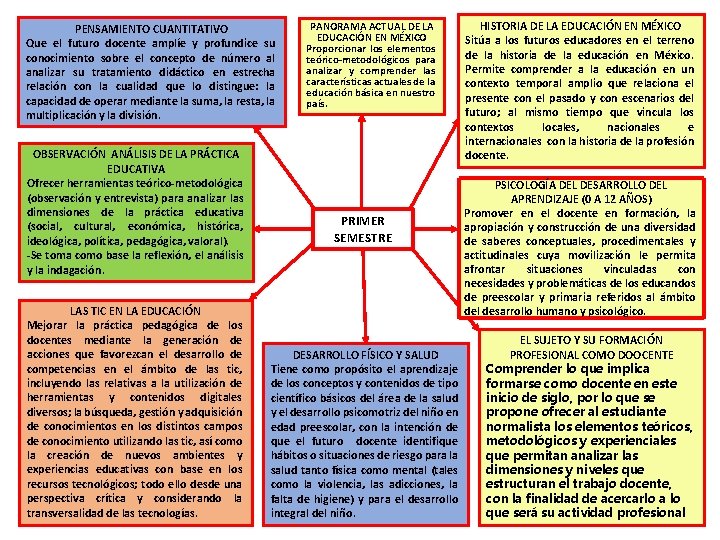 PENSAMIENTO CUANTITATIVO Que el futuro docente amplíe y profundice su conocimiento sobre el concepto