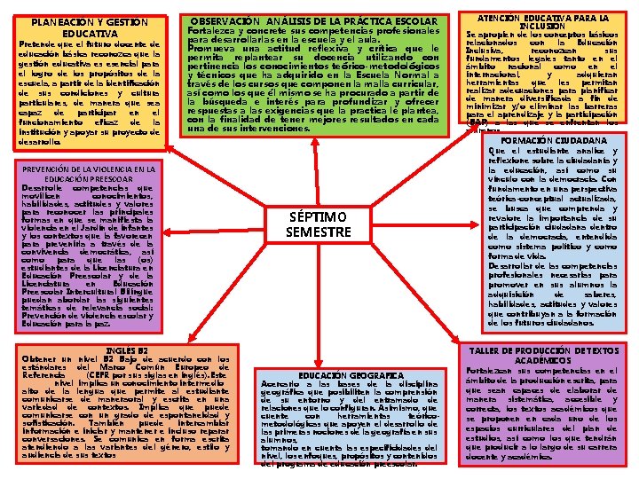 PLANEACIÓN Y GESTIÓN EDUCATIVA Pretende que el futuro docente de educación básica reconozca que