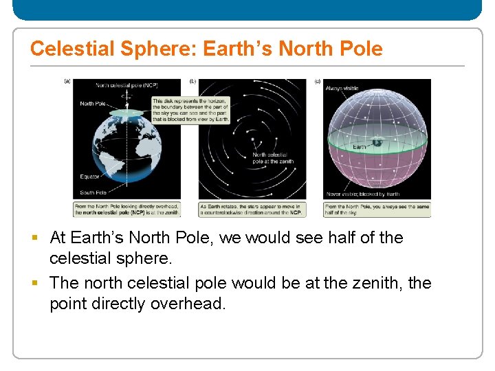 Celestial Sphere: Earth’s North Pole § At Earth’s North Pole, we would see half