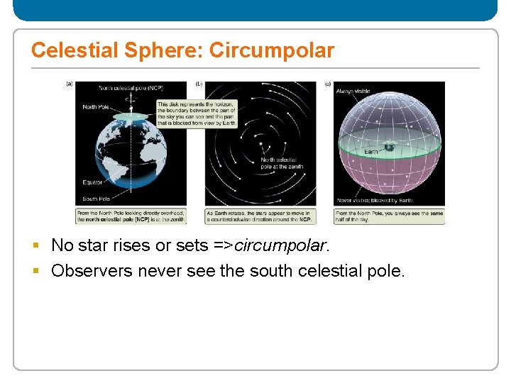 Celestial Sphere: Circumpolar § No star rises or sets =>circumpolar. § Observers never see