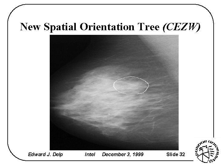 New Spatial Orientation Tree (CEZW) Edward J. Delp Intel December 3, 1999 Slide 32