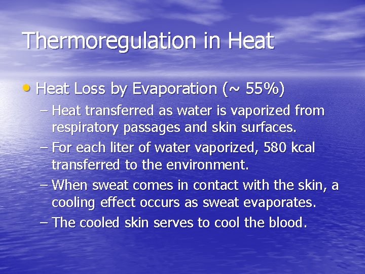 Thermoregulation in Heat • Heat Loss by Evaporation (~ 55%) – Heat transferred as