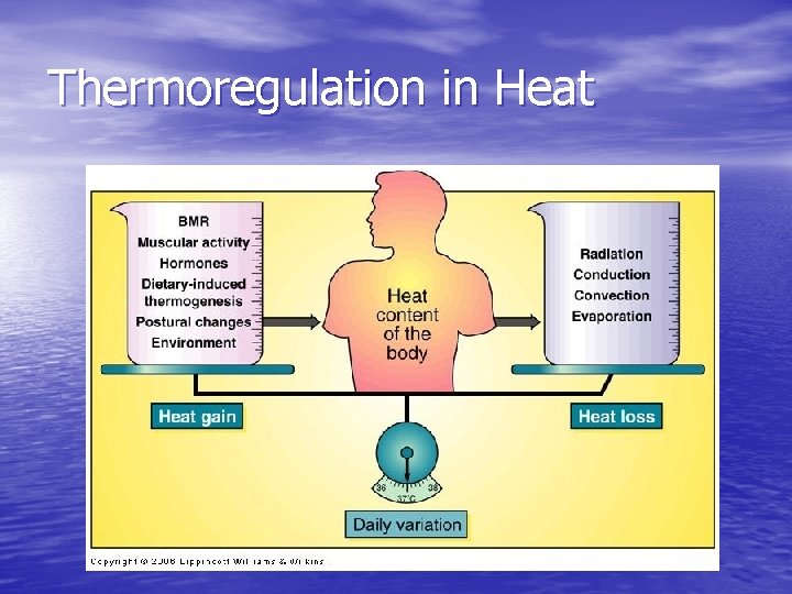 Thermoregulation in Heat 