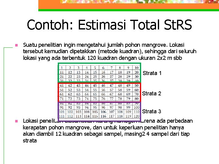 Contoh: Estimasi Total St. RS n Suatu penelitian ingin mengetahui jumlah pohon mangrove. Lokasi