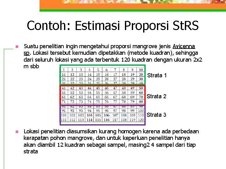 Contoh: Estimasi Proporsi St. RS n Suatu penelitian ingin mengetahui proporsi mangrove jenis Avicenna