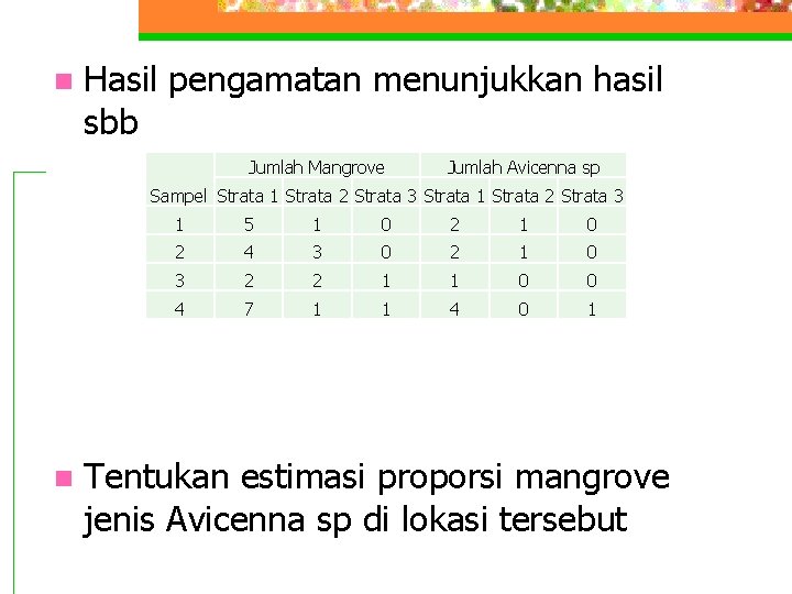 n Hasil pengamatan menunjukkan hasil sbb Jumlah Mangrove Jumlah Avicenna sp Sampel Strata 1