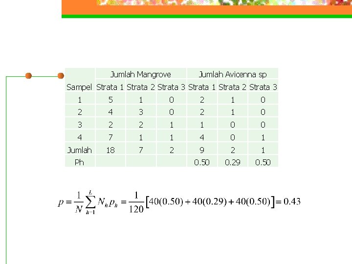 Jumlah Mangrove Jumlah Avicenna sp Sampel Strata 1 Strata 2 Strata 3 1 5