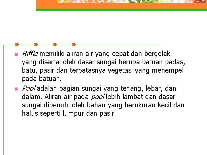 n n Riffle memiliki aliran air yang cepat dan bergolak yang disertai oleh dasar