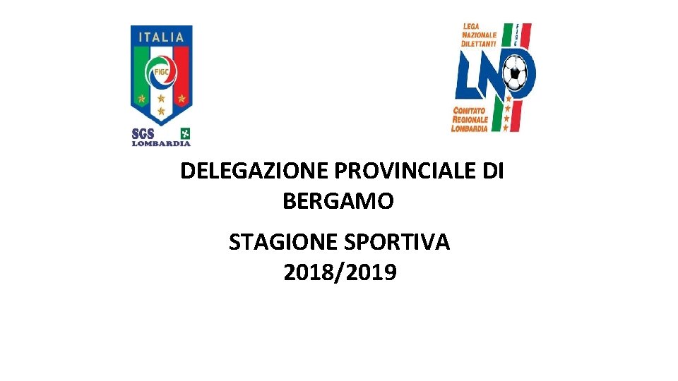 DELEGAZIONE PROVINCIALE DI BERGAMO STAGIONE SPORTIVA 2018/2019 