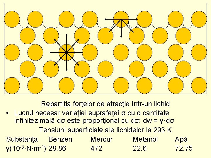 Repartiţia forţelor de atracţie într-un lichid • Lucrul necesar variaţiei suprafeţei σ cu o