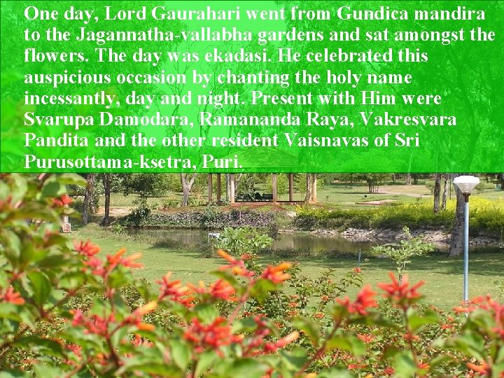 One day, Lord Gaurahari went from Gundica mandira to the Jagannatha-vallabha gardens and sat