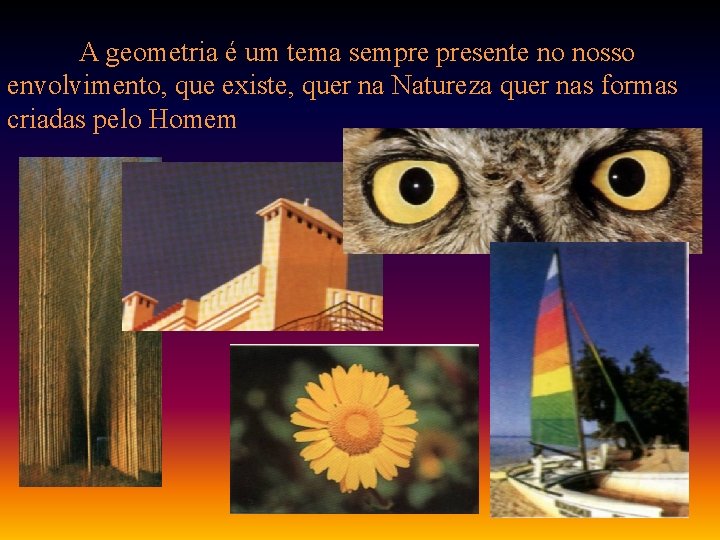 A geometria é um tema sempre presente no nosso envolvimento, que existe, quer na