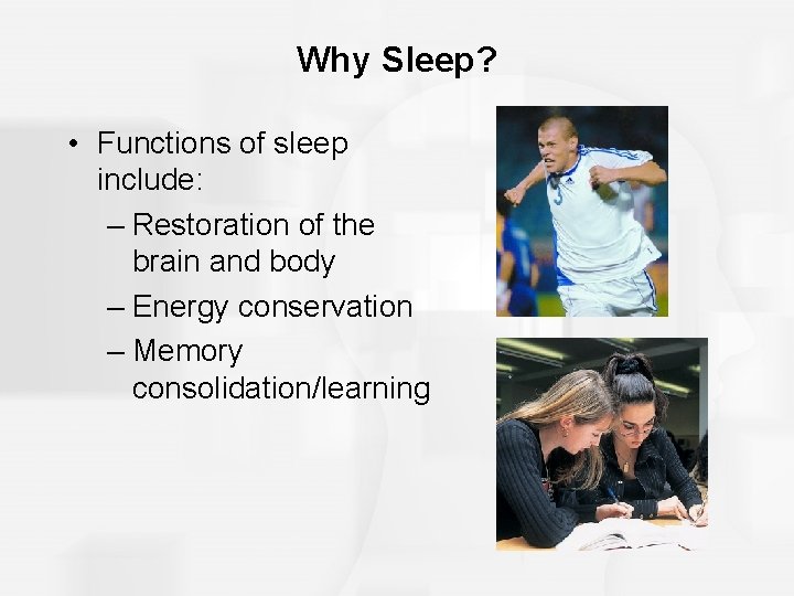 Why Sleep? • Functions of sleep include: – Restoration of the brain and body