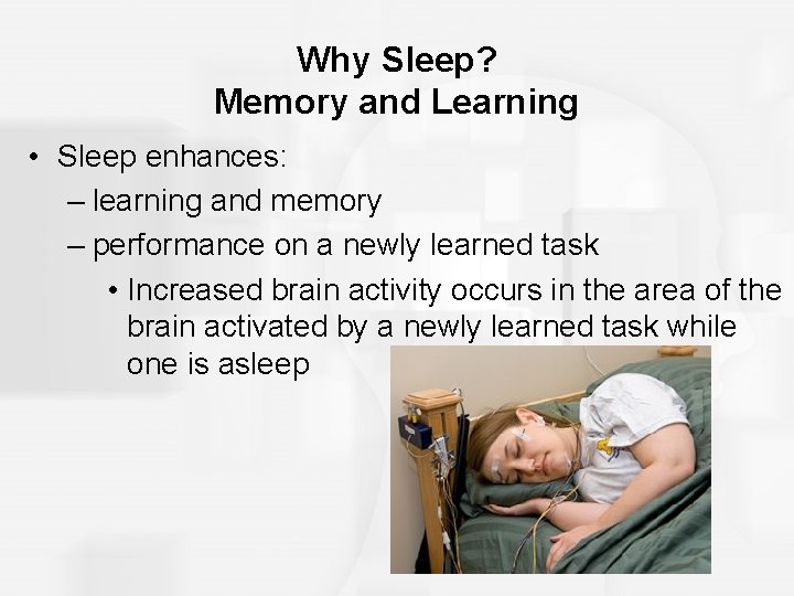 Why Sleep? Memory and Learning • Sleep enhances: – learning and memory – performance