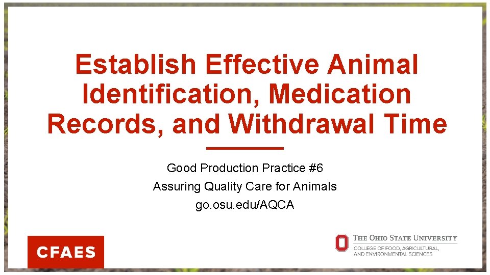 Establish Effective Animal Identification, Medication Records, and Withdrawal Time Good Production Practice #6 Assuring