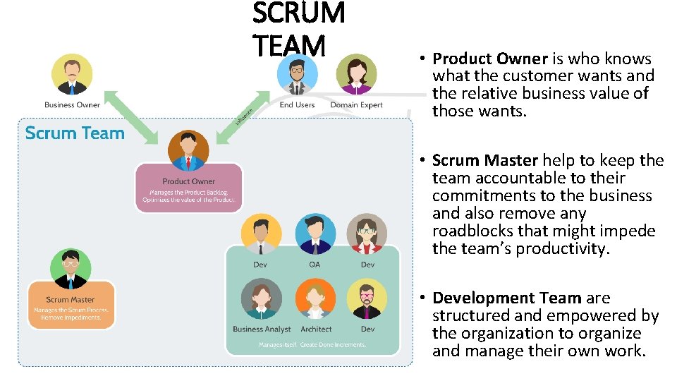 SCRUM TEAM • Product Owner is who knows what the customer wants and the SCRUM TEAM • Product Owner is who knows what the customer wants and the