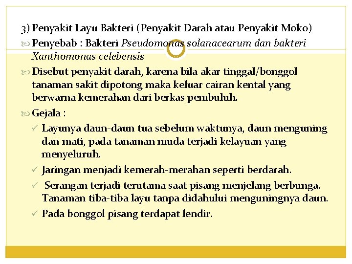 3) Penyakit Layu Bakteri (Penyakit Darah atau Penyakit Moko) Penyebab : Bakteri Pseudomonas solanacearum