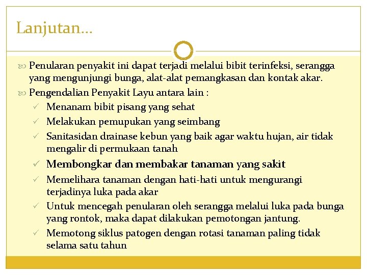 Lanjutan… Penularan penyakit ini dapat terjadi melalui bibit terinfeksi, serangga yang mengunjungi bunga, alat-alat