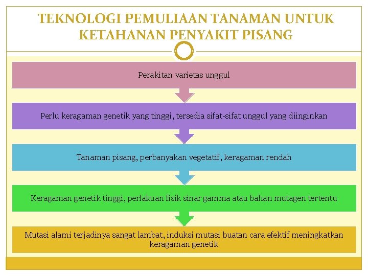 TEKNOLOGI PEMULIAAN TANAMAN UNTUK KETAHANAN PENYAKIT PISANG Perakitan varietas unggul Perlu keragaman genetik yang