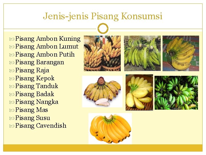 Jenis-jenis Pisang Konsumsi Pisang Ambon Kuning Pisang Ambon Lumut Pisang Ambon Putih Pisang Barangan