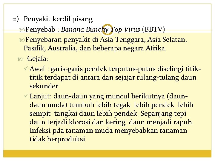 2) Penyakit kerdil pisang Penyebab : Banana Bunchy Top Virus (BBTV). Penyebaran penyakit di