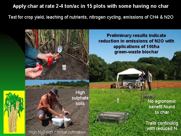 Apply char at rate 2 -4 ton/ac in 15 plots with some having no