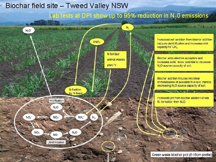 Biochar field site – Tweed Valley NSW Lab tests at DPI show up to