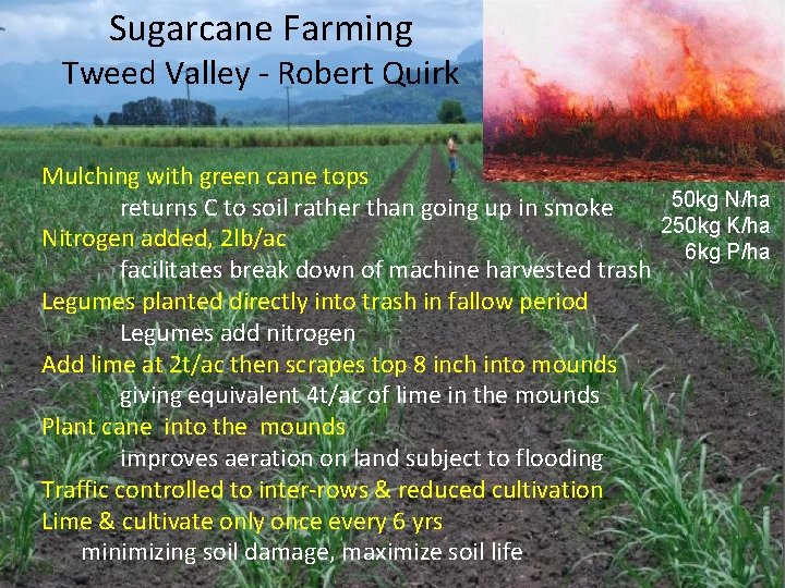 Sugarcane Farming Tweed Valley - Robert Quirk Mulching with green cane tops 50 kg