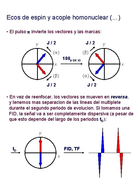 Ecos de espin y acople homonuclear (…) • El pulso p invierte los vectores