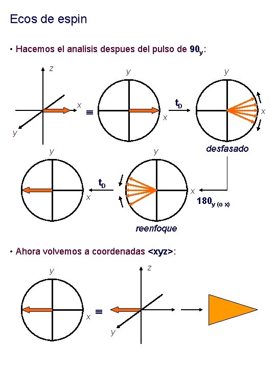 Ecos de espin • Hacemos el analisis despues del pulso de 90 y: z